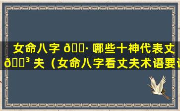 女命八字 🕷 哪些十神代表丈 🐳 夫（女命八字看丈夫术语要诀三）